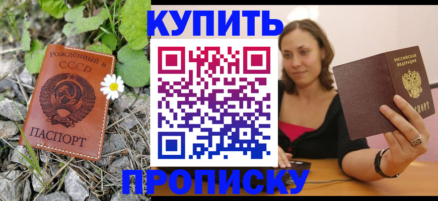 прописка поиск в Энгельсе